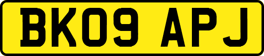 BK09APJ