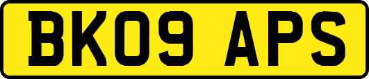 BK09APS