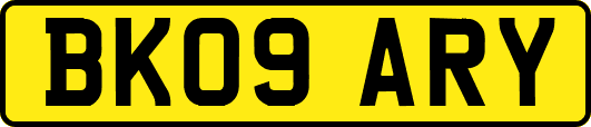BK09ARY