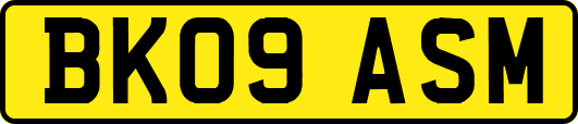 BK09ASM