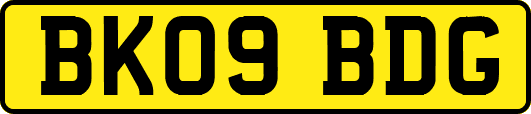 BK09BDG
