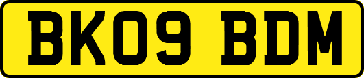 BK09BDM