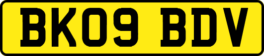 BK09BDV