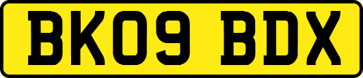 BK09BDX