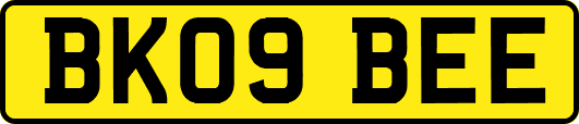BK09BEE
