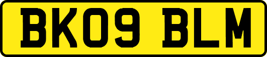 BK09BLM