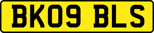 BK09BLS
