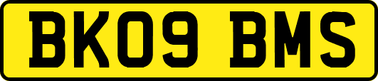 BK09BMS