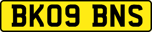 BK09BNS