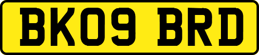 BK09BRD