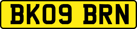 BK09BRN