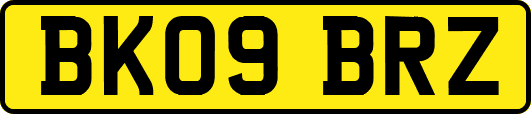 BK09BRZ