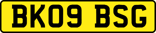 BK09BSG