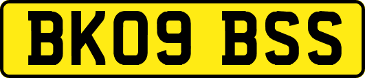 BK09BSS
