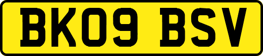 BK09BSV