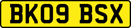 BK09BSX