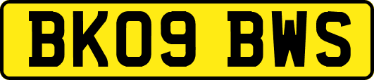 BK09BWS
