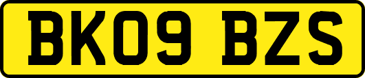 BK09BZS