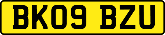 BK09BZU