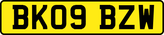 BK09BZW