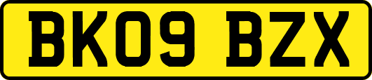 BK09BZX