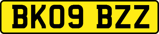BK09BZZ