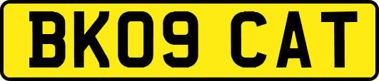 BK09CAT