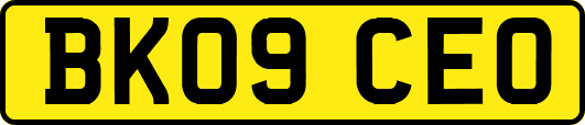 BK09CEO
