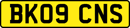 BK09CNS
