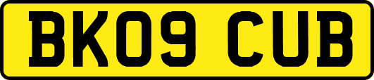 BK09CUB