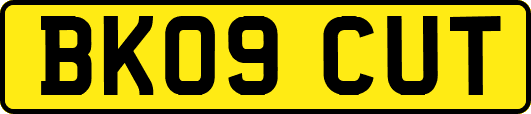 BK09CUT