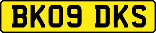 BK09DKS