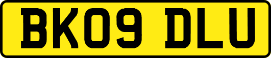 BK09DLU