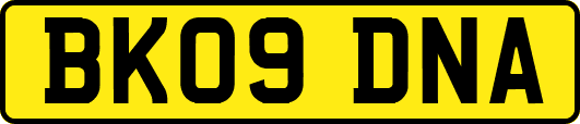 BK09DNA