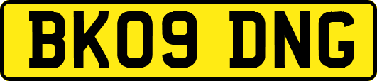 BK09DNG