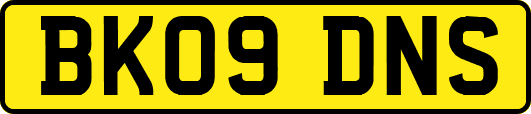 BK09DNS