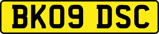 BK09DSC