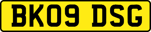 BK09DSG