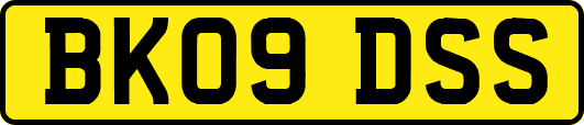 BK09DSS