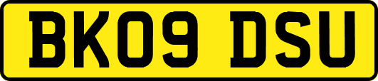 BK09DSU