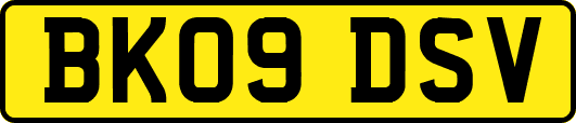 BK09DSV