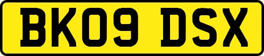 BK09DSX