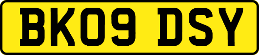 BK09DSY