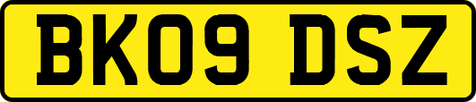 BK09DSZ