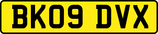 BK09DVX