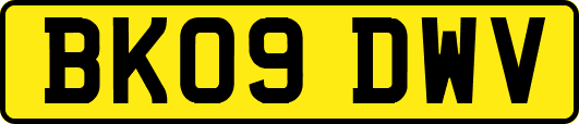 BK09DWV