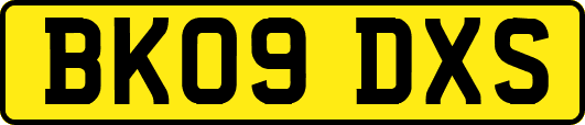 BK09DXS