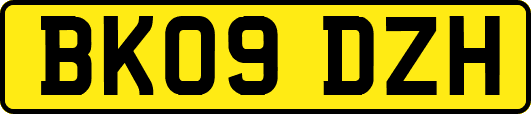 BK09DZH