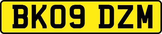 BK09DZM