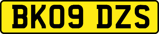 BK09DZS